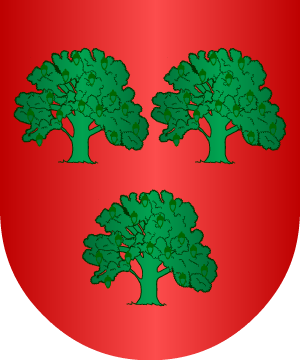 ESCUDO SIGUIENTE