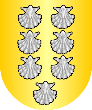ESCUDO SIGUIENTE