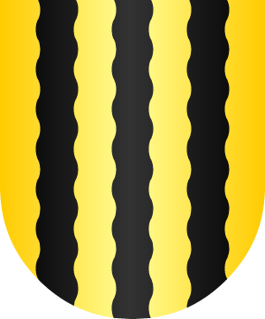 ESCUDO ALEATORIO