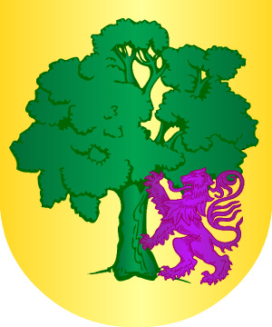 ESCUDO SIGUIENTE