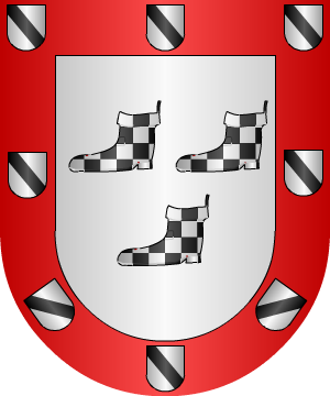 ESCUDO ALEATORIO