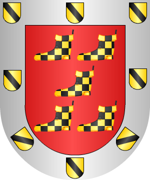 ESCUDO SIGUIENTE