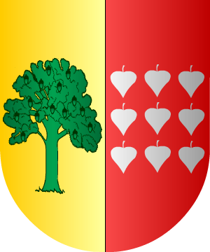 ESCUDO ALEATORIO