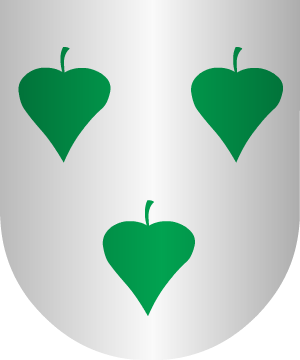 ESCUDO ALEATORIO