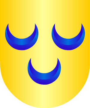 ESCUDO ALEATORIO