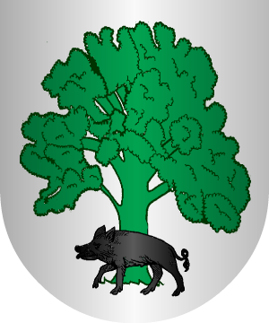 ESCUDO SIGUIENTE